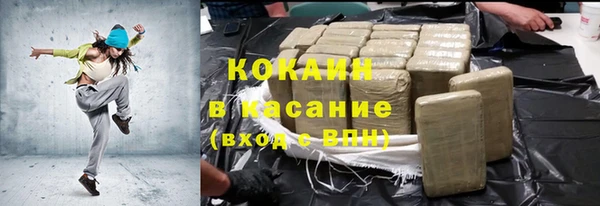 прущие грибы Абинск