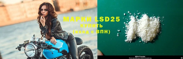 прущие грибы Абинск