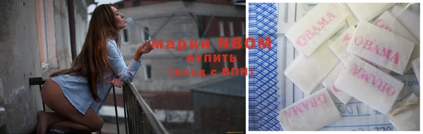 прущие грибы Абинск