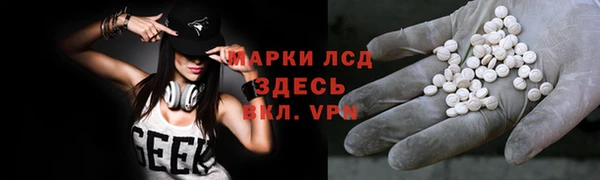 прущие грибы Абинск
