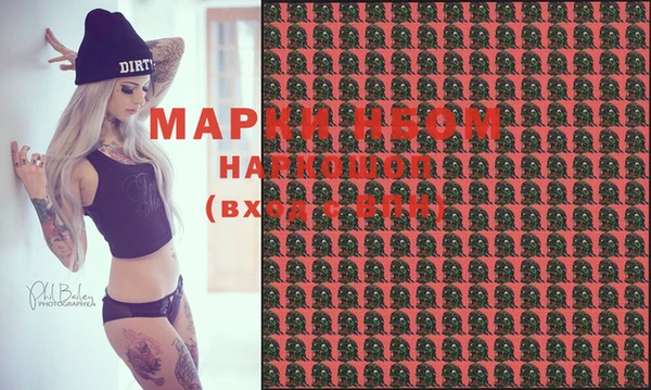 прущие грибы Абинск