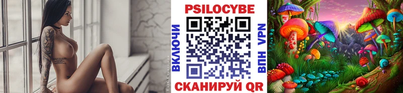 Галлюциногенные грибы MAGIC MUSHROOMS  где найти наркотики  Трубчевск 